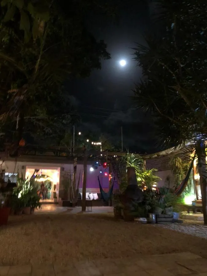 Teetotum Hotel Tulum 3*,