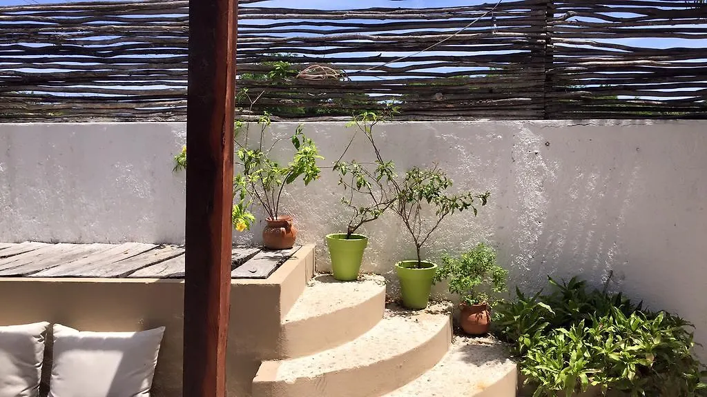Teetotum Hotel Tulum