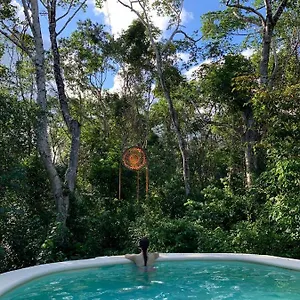 Bed & Breakfast Casa Tzalam Selva