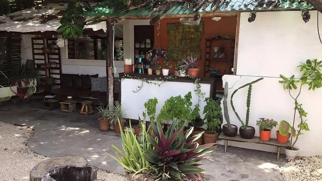 Teetotum Hotel Tulum 3*,